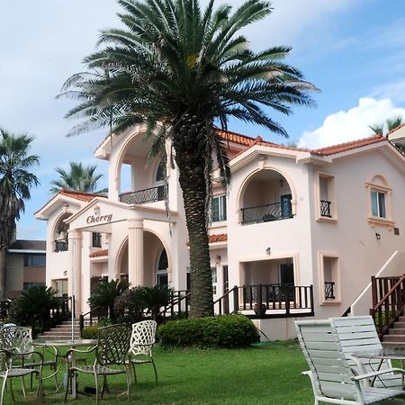 Cherry House مدينة سيوجويبو المظهر الخارجي الصورة